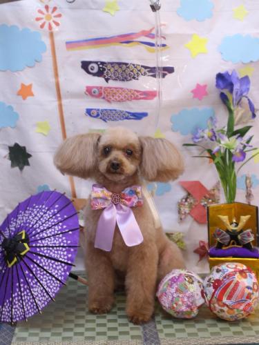 20240507メルちゃん